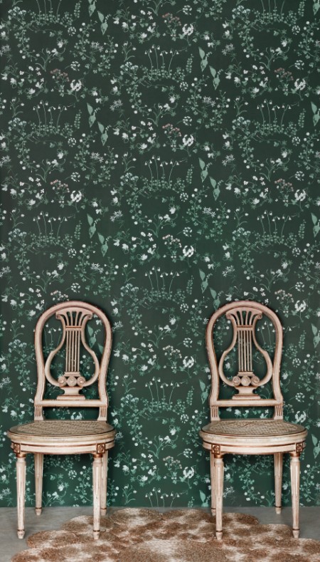 Image de Willow Crossley x Barneby Gates -Botanica - Woodland Green - BG2400201