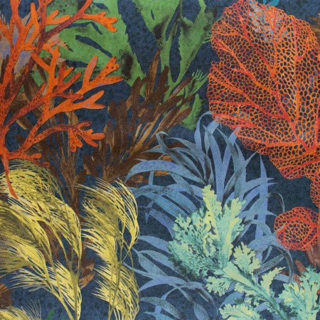 Bild på Bora Bora - 26733-HTM