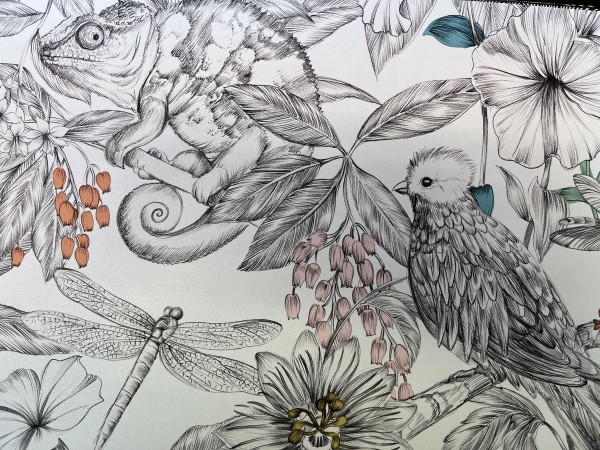 Picture of Manga - PP2460993