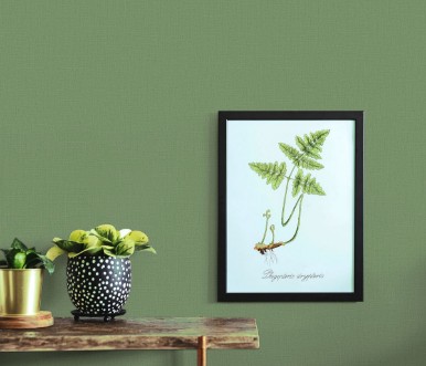 Image de Casual Chic - 10262-07