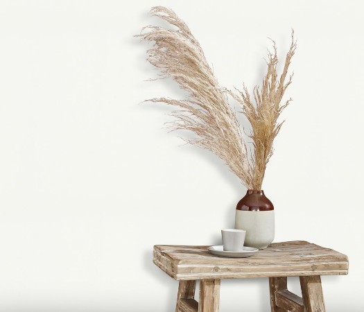 Picture of ELLE 3 - 10335-01