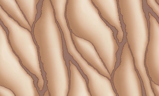 Picture of ELLE 3 - 10345-02