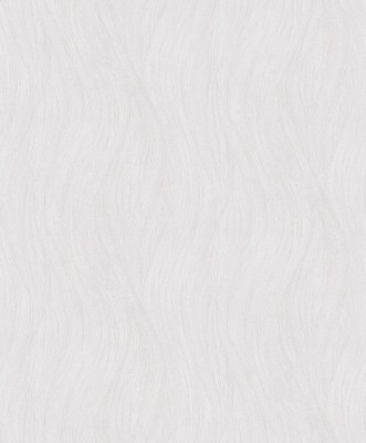 Picture of Evolution - 10317-01