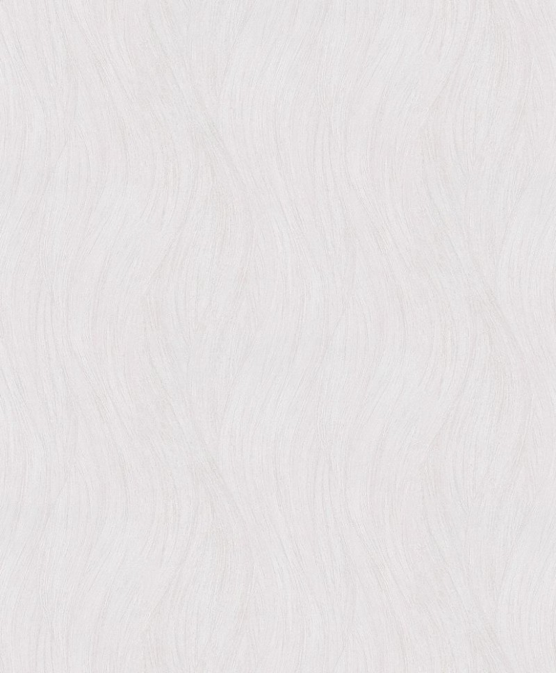 Picture of Evolution - 10317-01