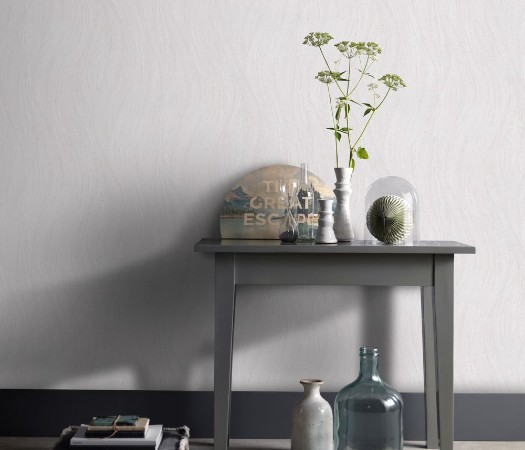 Afbeeldingen van Evolution - 10317-01