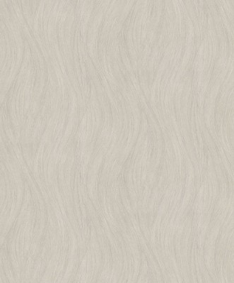 Picture of Evolution - 10317-02