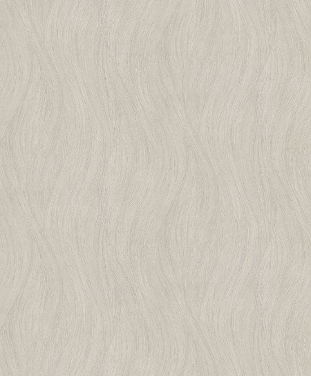 Afbeeldingen van Evolution - 10317-02