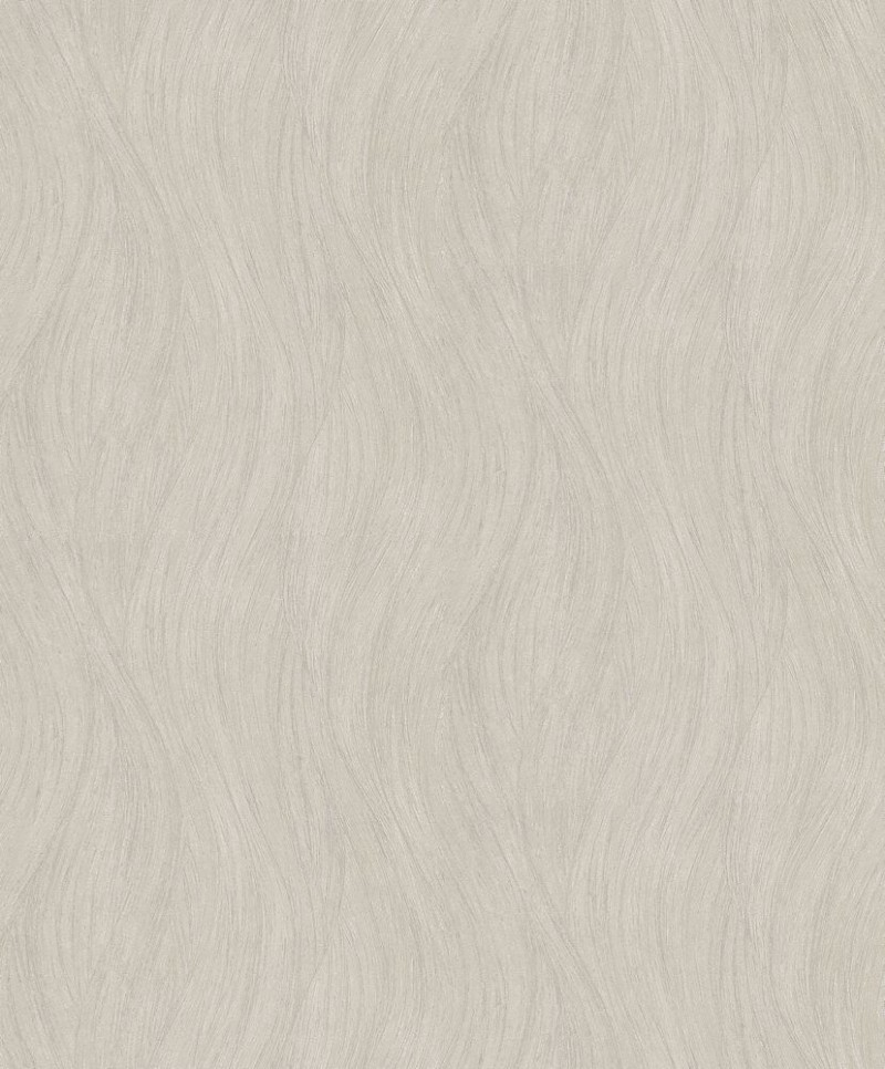 Picture of Evolution - 10317-02