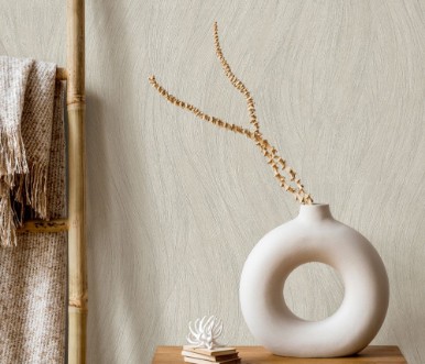 Picture of Evolution - 10317-02