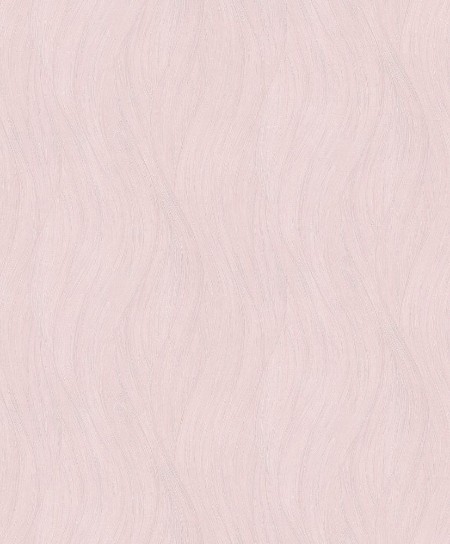 Afbeeldingen van Evolution - 10317-05