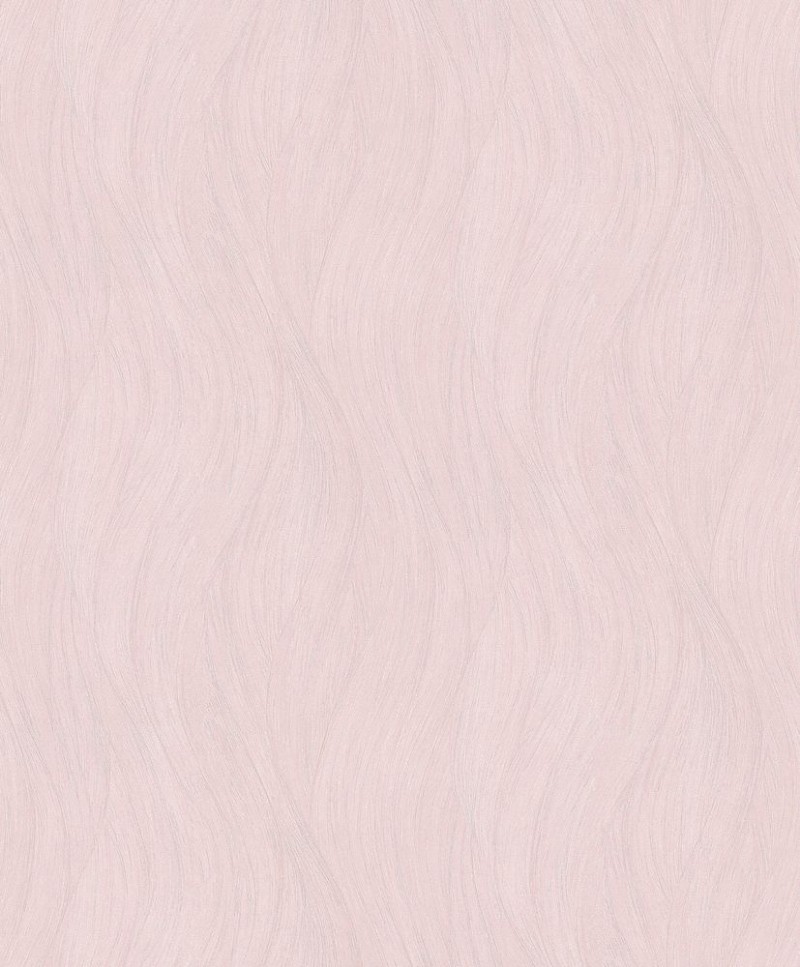 Image de Evolution - 10317-05