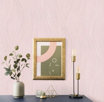 Picture of Evolution - 10317-05