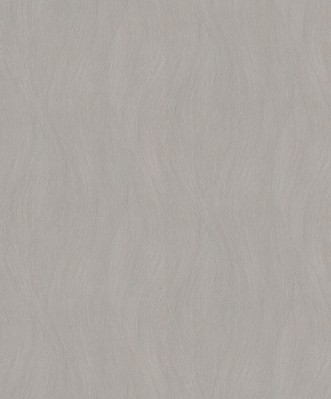 Picture of Evolution - 10317-11