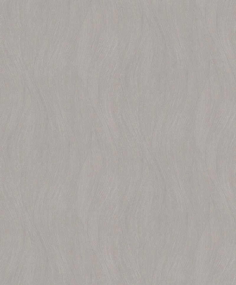 Attēls Evolution - 10317-11