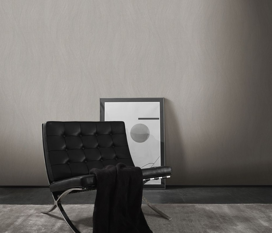 Attēls Evolution - 10317-11