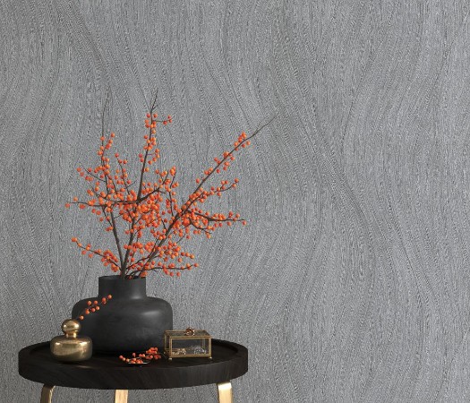 Afbeeldingen van Evolution - 10317-47