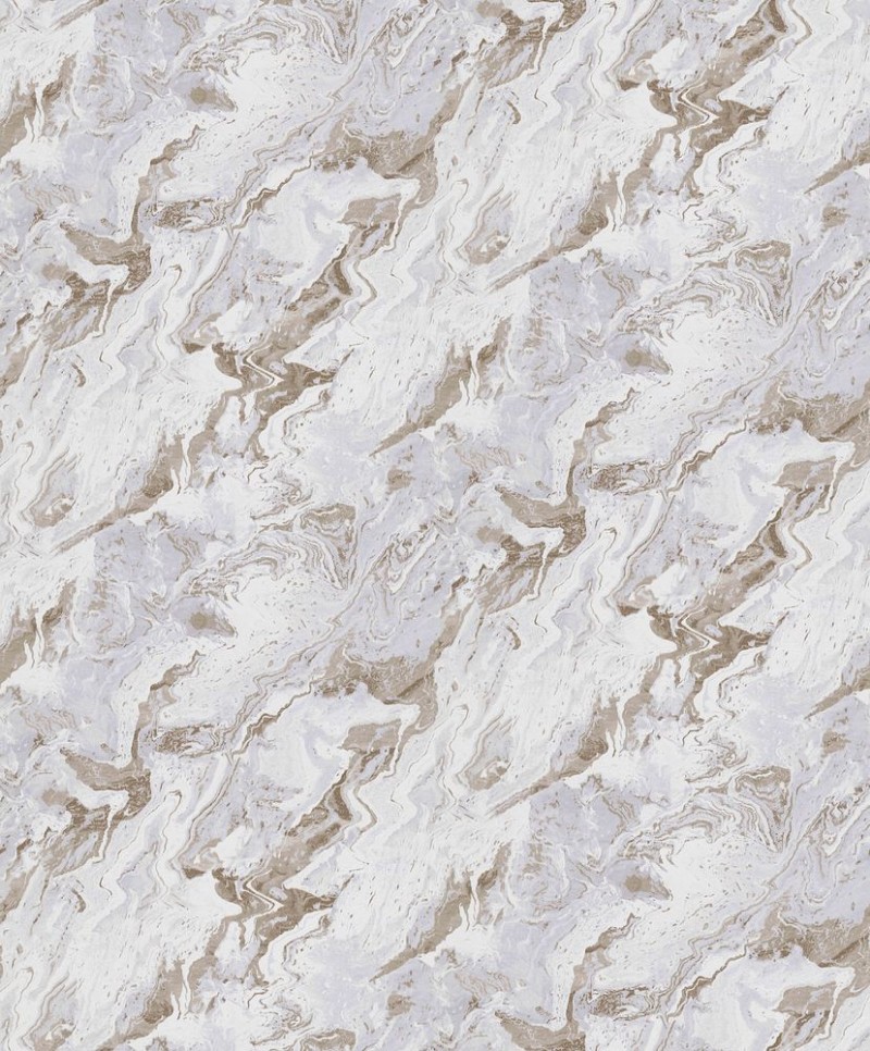 Afbeeldingen van Evolution - 10318-10