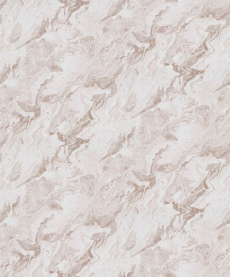 Afbeeldingen van Evolution - 10318-13