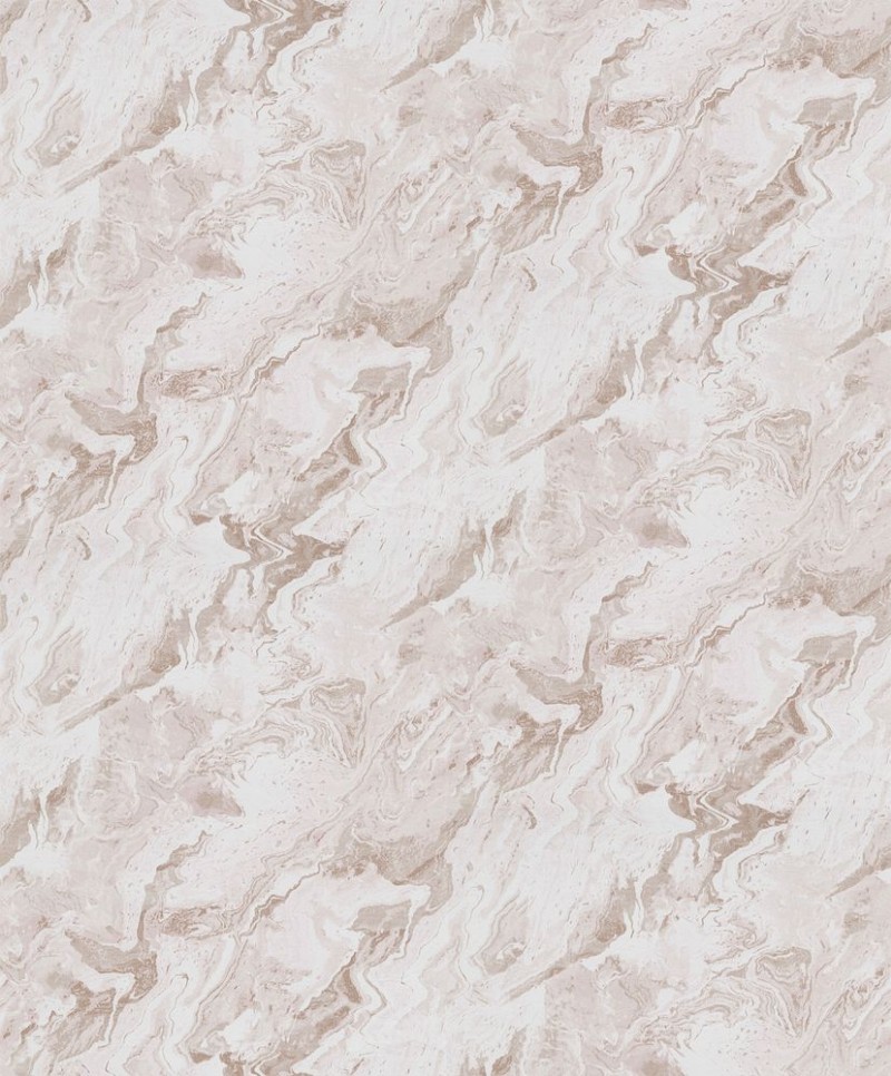 Afbeeldingen van Evolution - 10318-13