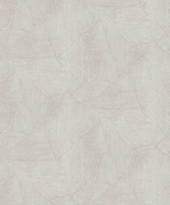 Picture of Evolution - 10319-02