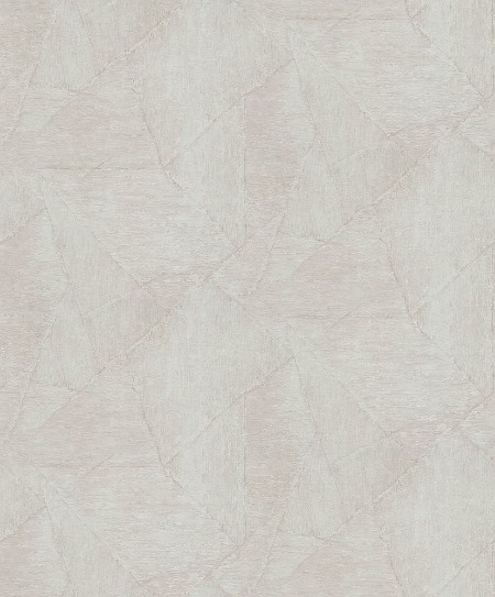 Afbeeldingen van Evolution - 10319-02