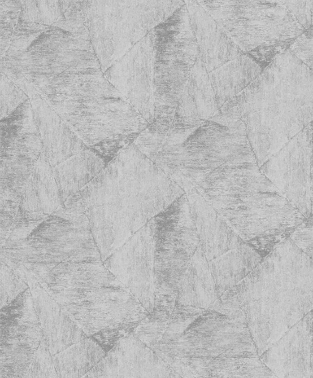 Afbeeldingen van Evolution - 10319-10