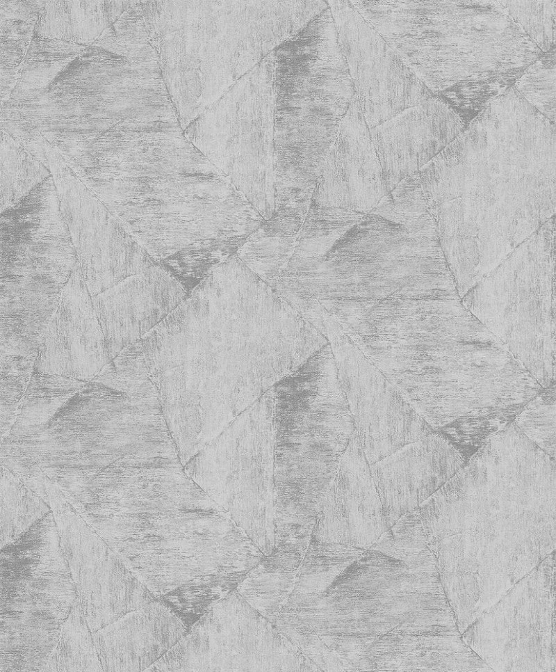 Afbeeldingen van Evolution - 10319-10