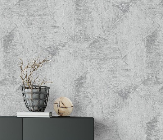 Afbeeldingen van Evolution - 10319-10