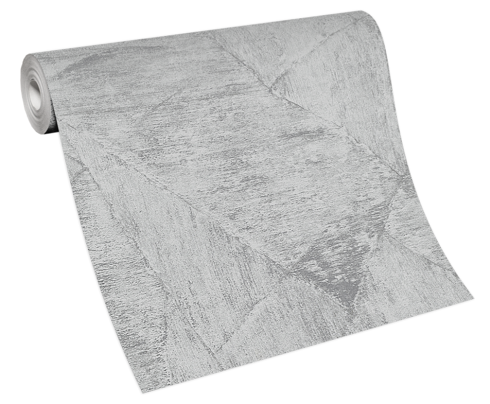 Afbeeldingen van Evolution - 10319-10