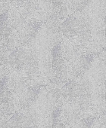 Afbeeldingen van Evolution - 10319-31