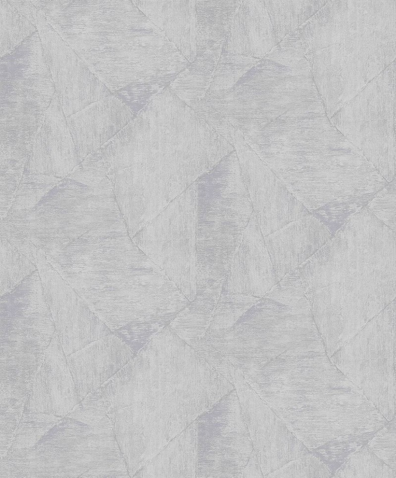 Picture of Evolution - 10319-31