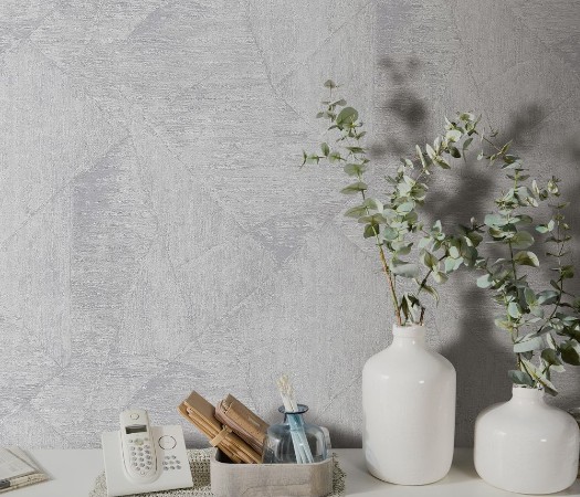 Afbeeldingen van Evolution - 10319-31