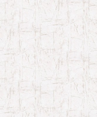 Picture of Evolution - 10320-02