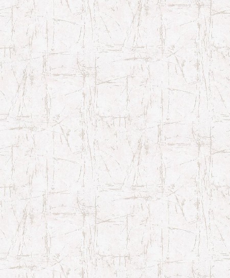 Afbeeldingen van Evolution - 10320-02