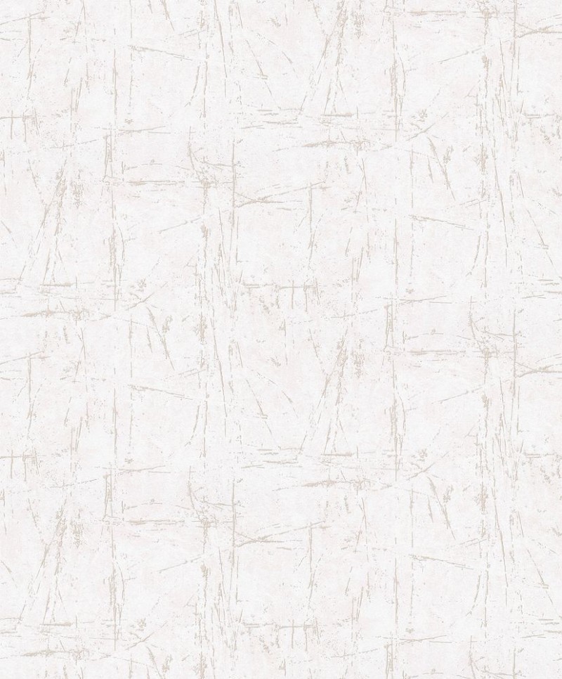 Picture of Evolution - 10320-02