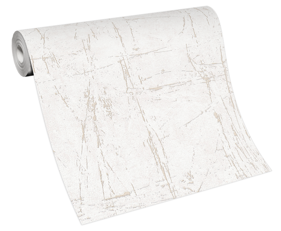 Picture of Evolution - 10320-02