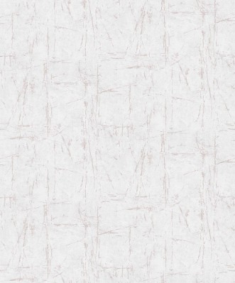 Picture of Evolution - 10320-05