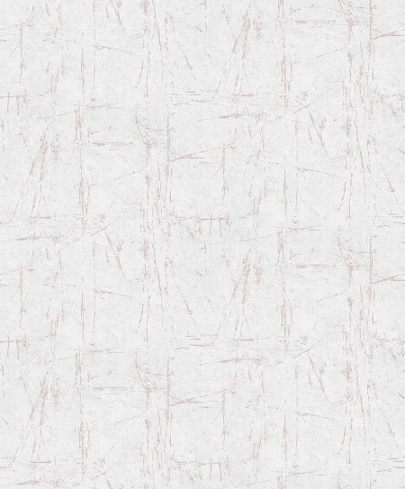 Afbeeldingen van Evolution - 10320-05