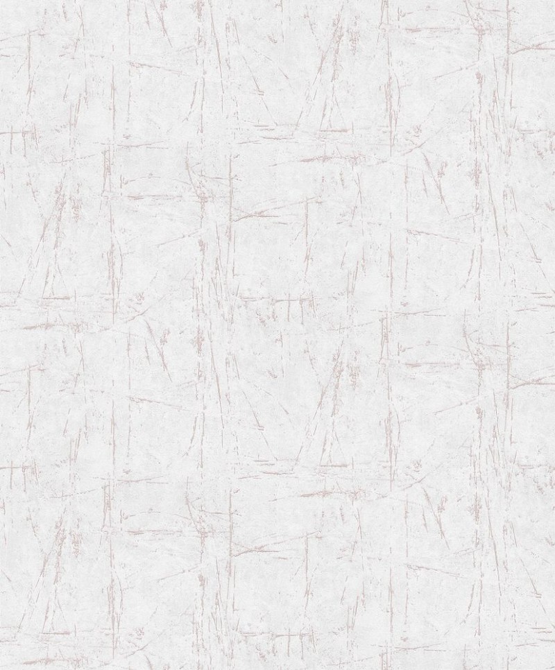 Image de Evolution - 10320-05