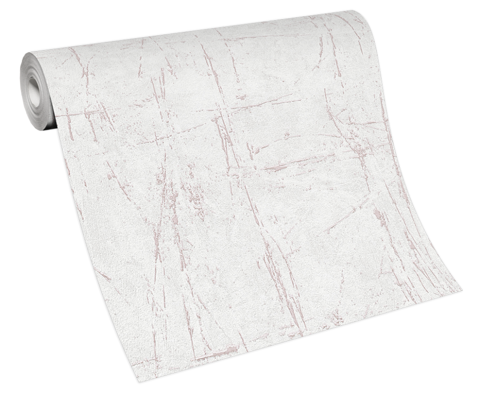 Image de Evolution - 10320-05