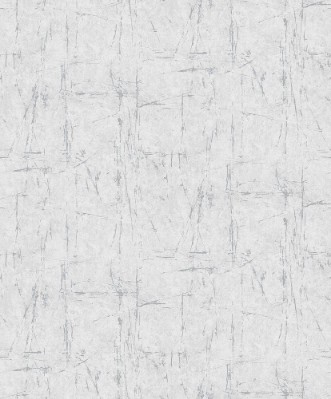 Picture of Evolution - 10320-10