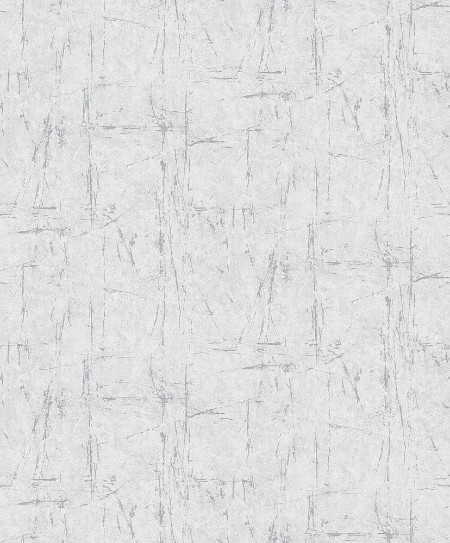 Afbeeldingen van Evolution - 10320-10