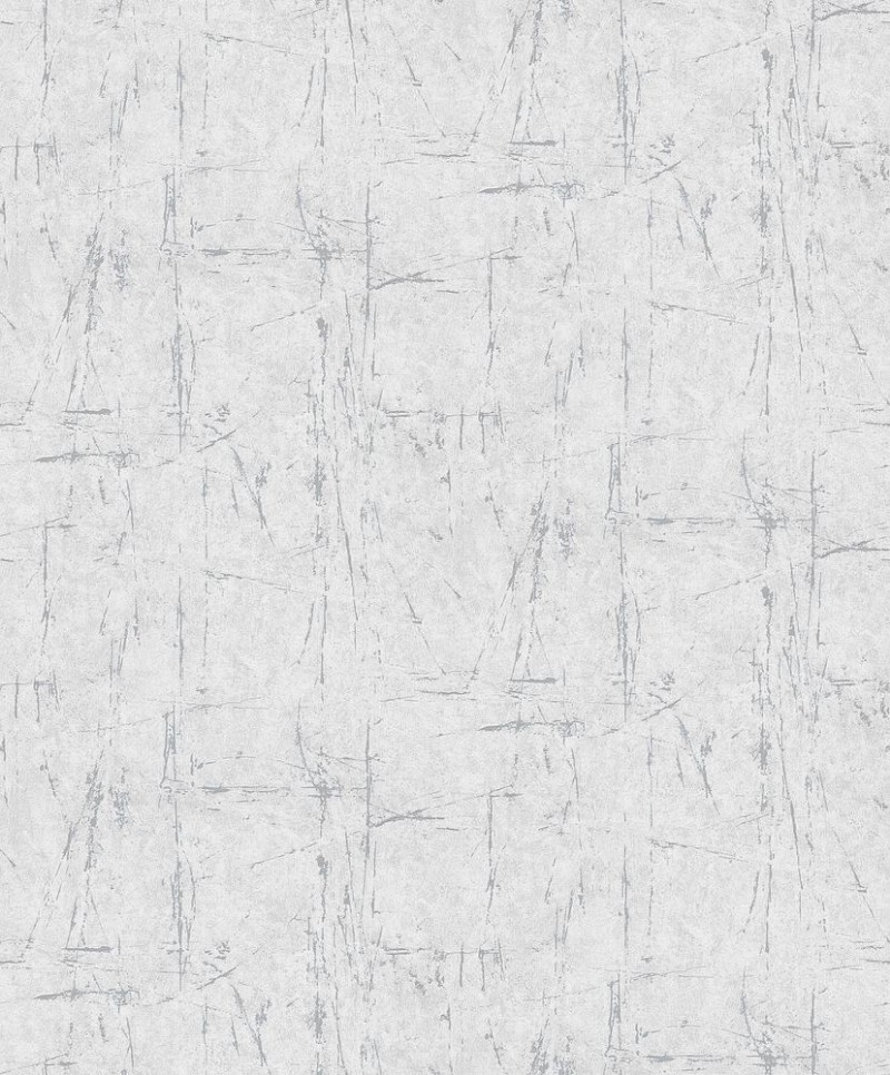 Image de Evolution - 10320-10