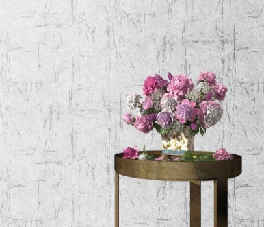 Picture of Evolution - 10320-10