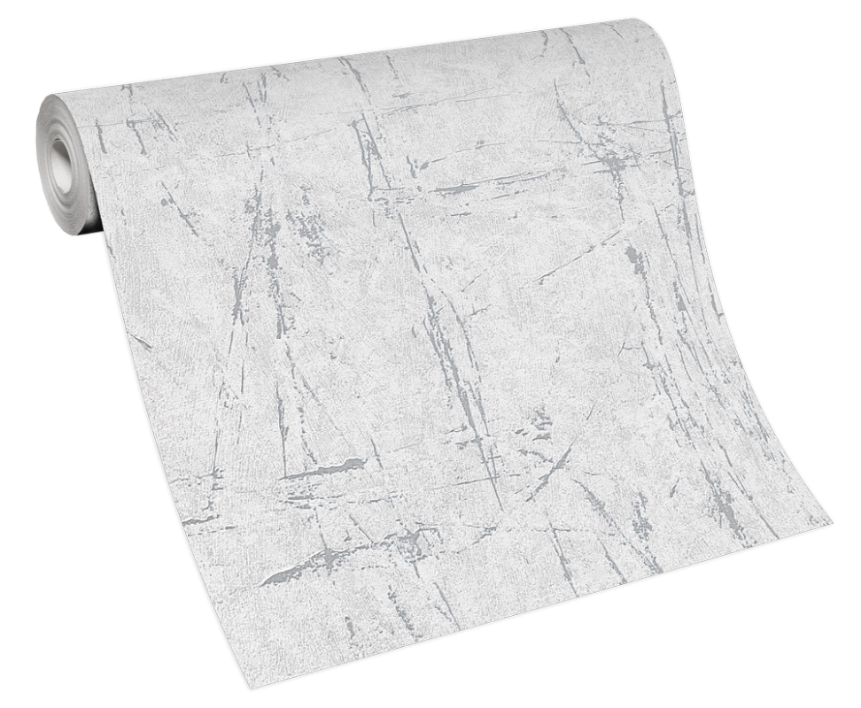 Image de Evolution - 10320-10