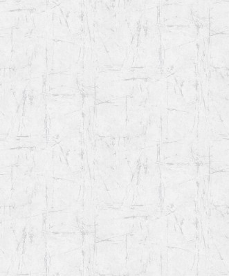 Image de Evolution - 10320-31