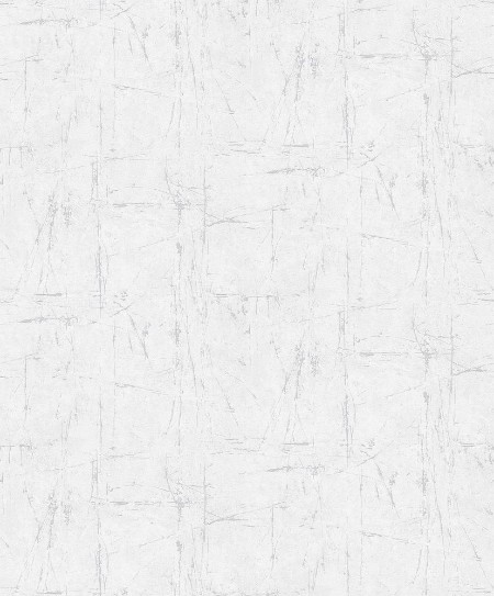 Afbeeldingen van Evolution - 10320-31