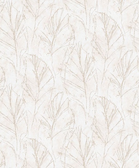 Afbeeldingen van Evolution - 10321-02