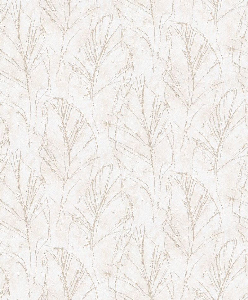 Image de Evolution - 10321-02