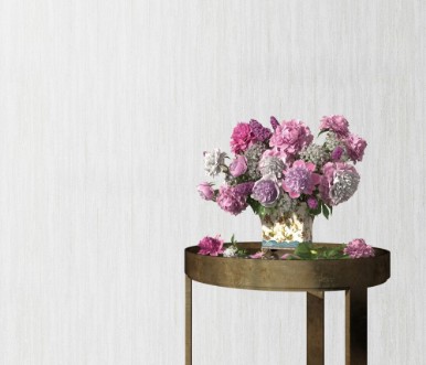 Afbeeldingen van Evolution - 10322-01